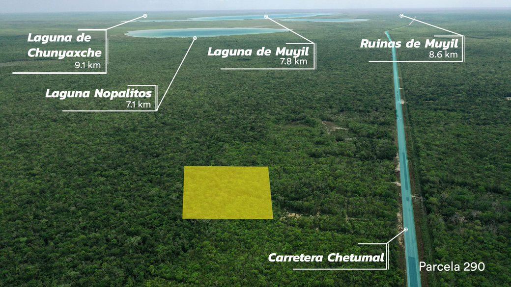 Terreno en Tulum · Parcela 290, Terreno